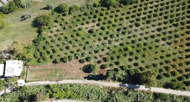 Fethiye Kargıda 3114 M² Satılık Arazi - Görsel 3