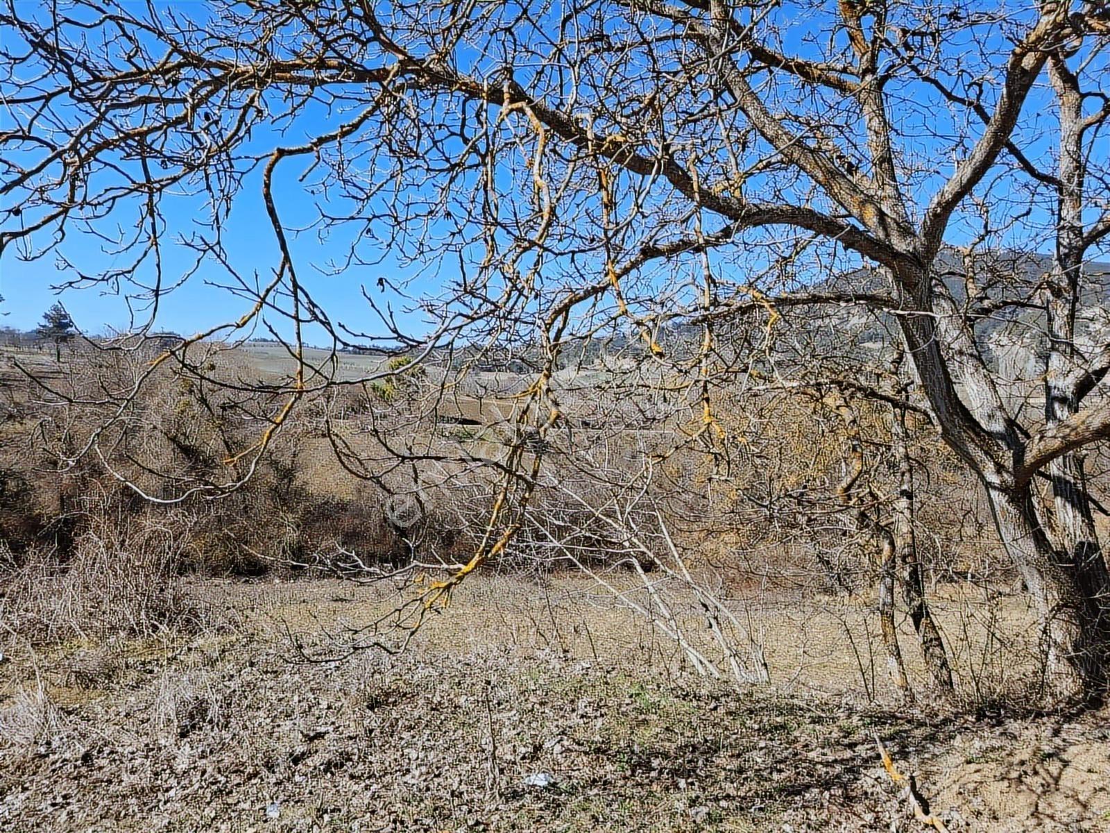 Geyve Taşoluk'ta 145m2 Satılık Bahçe - Görsel 7