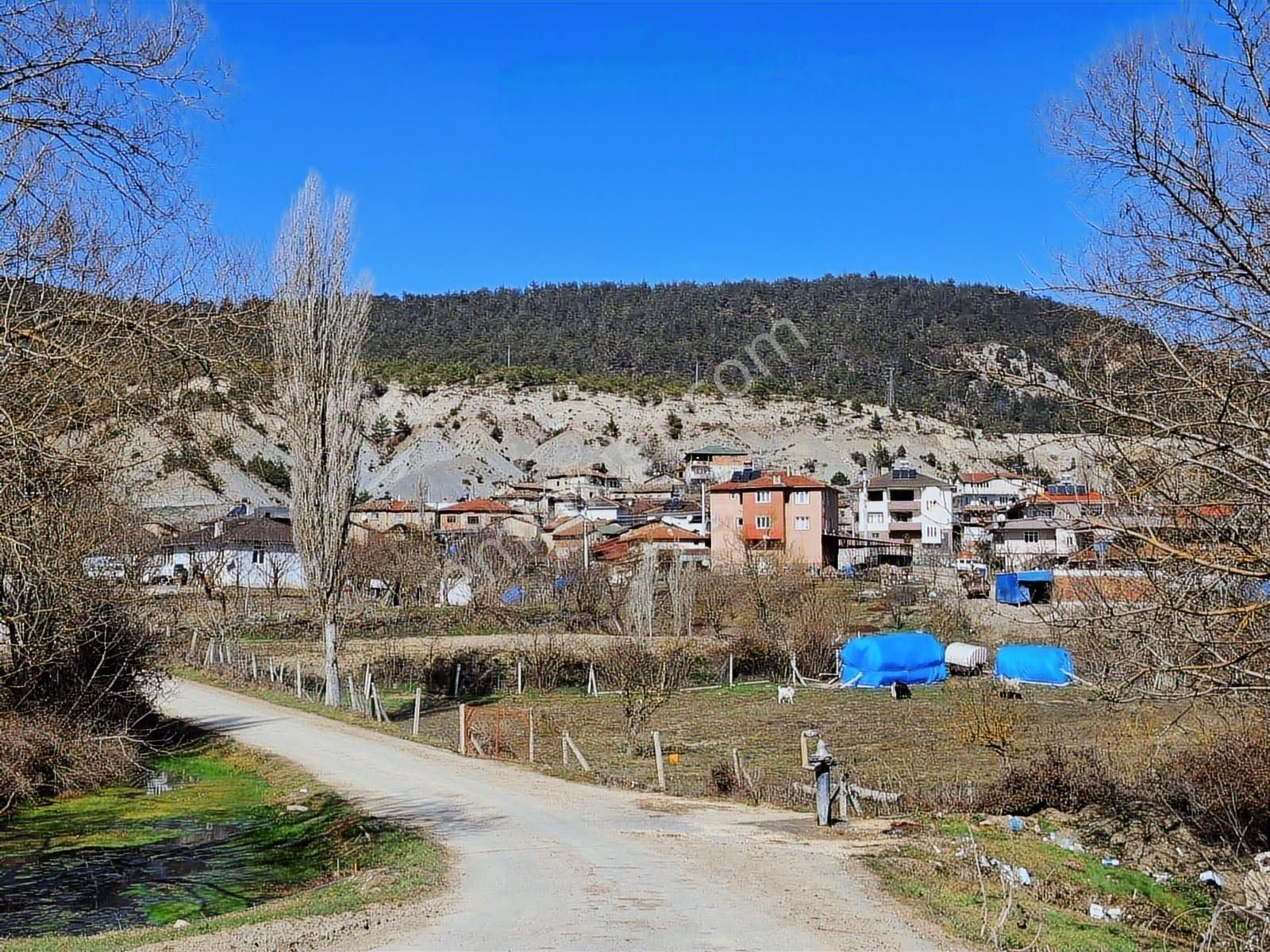 Geyve Taşoluk'ta 145m2 Satılık Bahçe