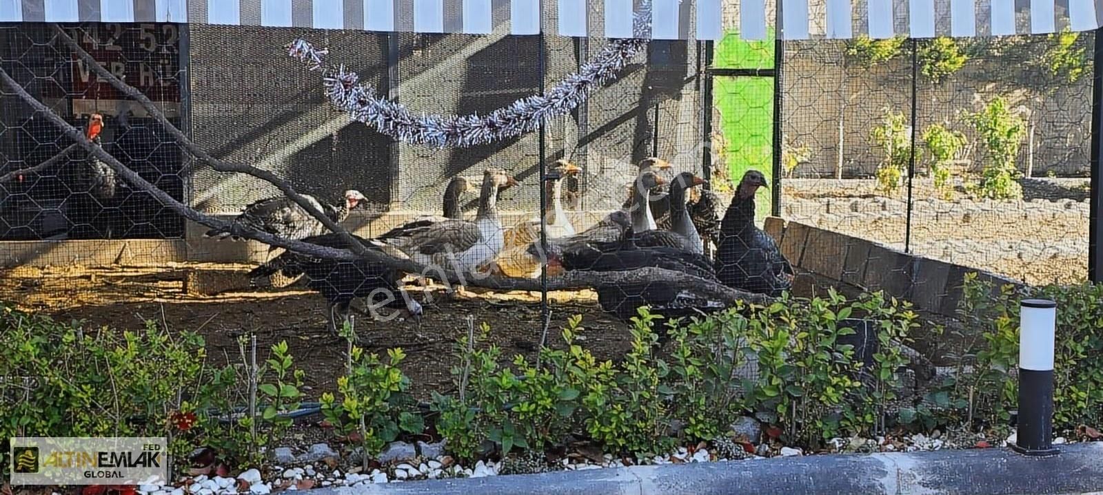 Satılık Gesi De Ultra Lüks Villa - Görsel 3