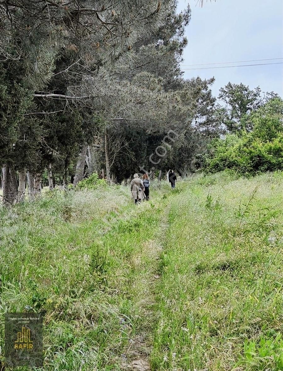 Çatalca Karacaköy'de İçinde Konteyner Olan 350m2 Tarla - Görsel 15