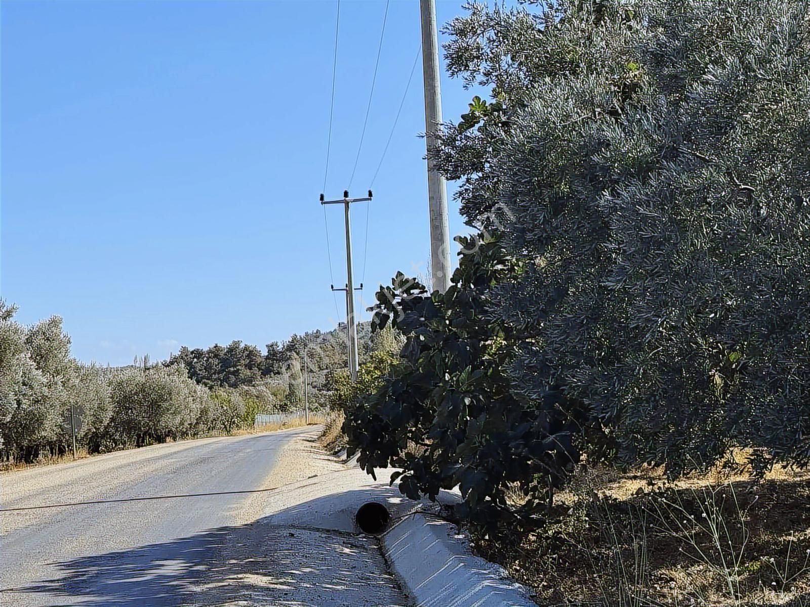 Mudanya Çepni Mahallesinde Yatırımlık Arazi - Görsel 8