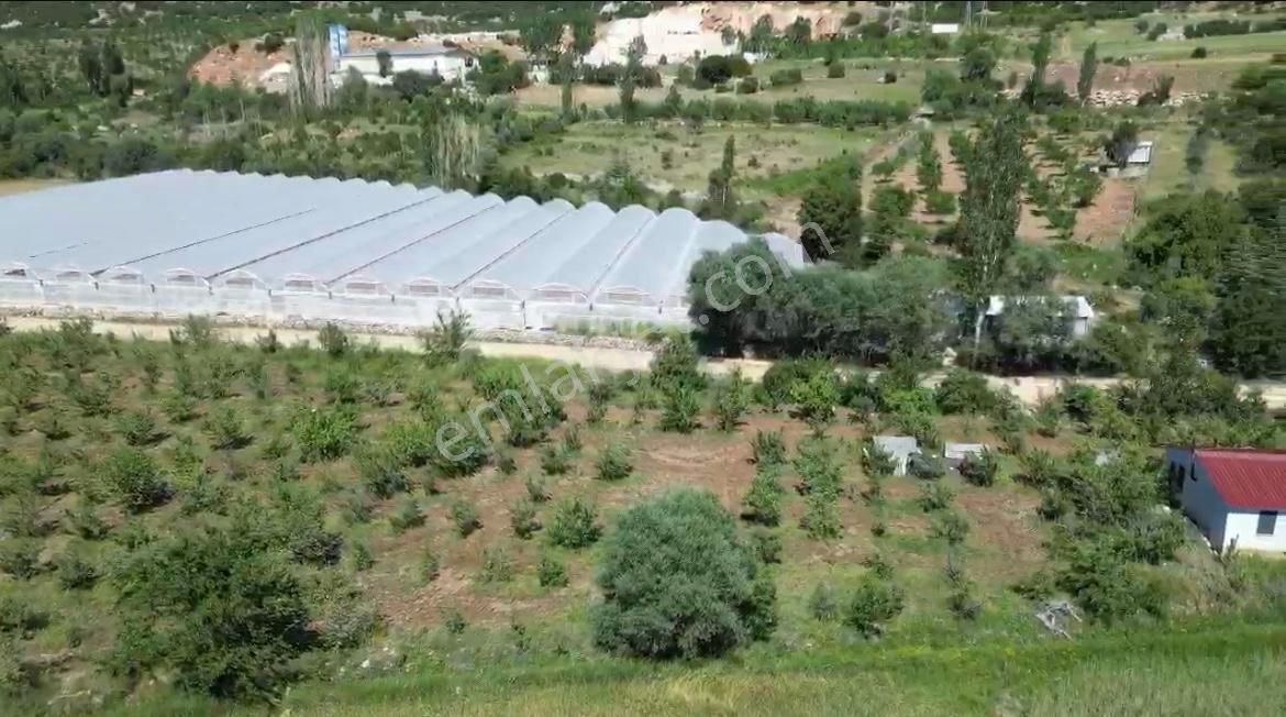 Tire Şahin Gayrimenkul’den Muğla Seydikemer’de Satılık Tarla Müstakil Ev - Görsel 2