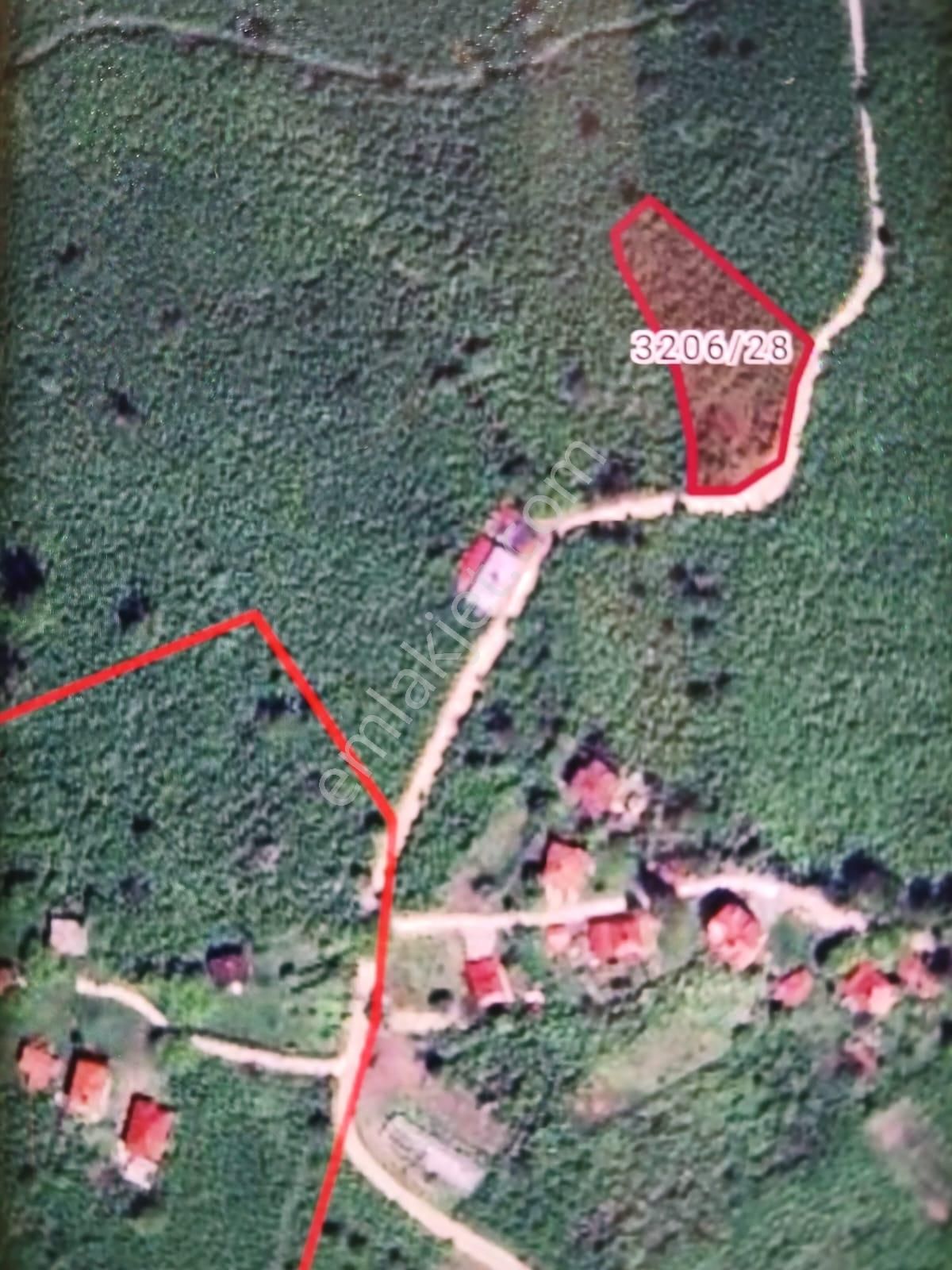Delikkaya Köyünde 2577 M² Fındık Bahçesi Şehre 15 Dakika - Görsel 2