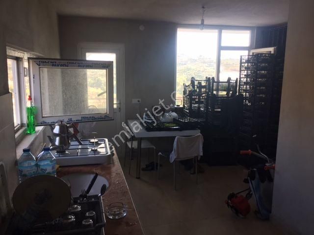 Arsaya Ve Avokado Bahçesine Kısa Vadeli Yatırım Düşünenlere - Görsel 5