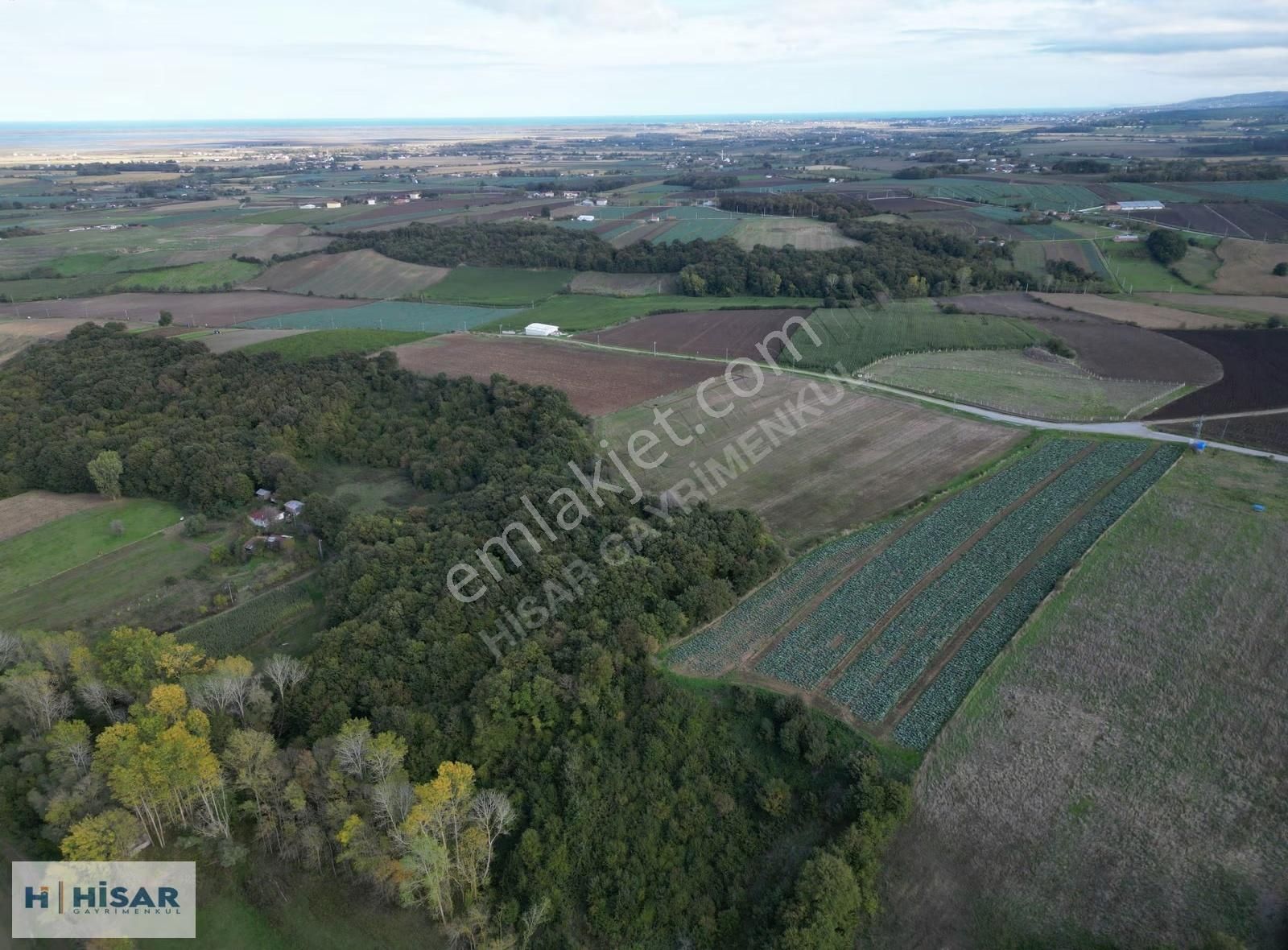Hisar'dan Bafra Osmanbeyli'de Satılık 26.403 M2 Tarla - Görsel 16