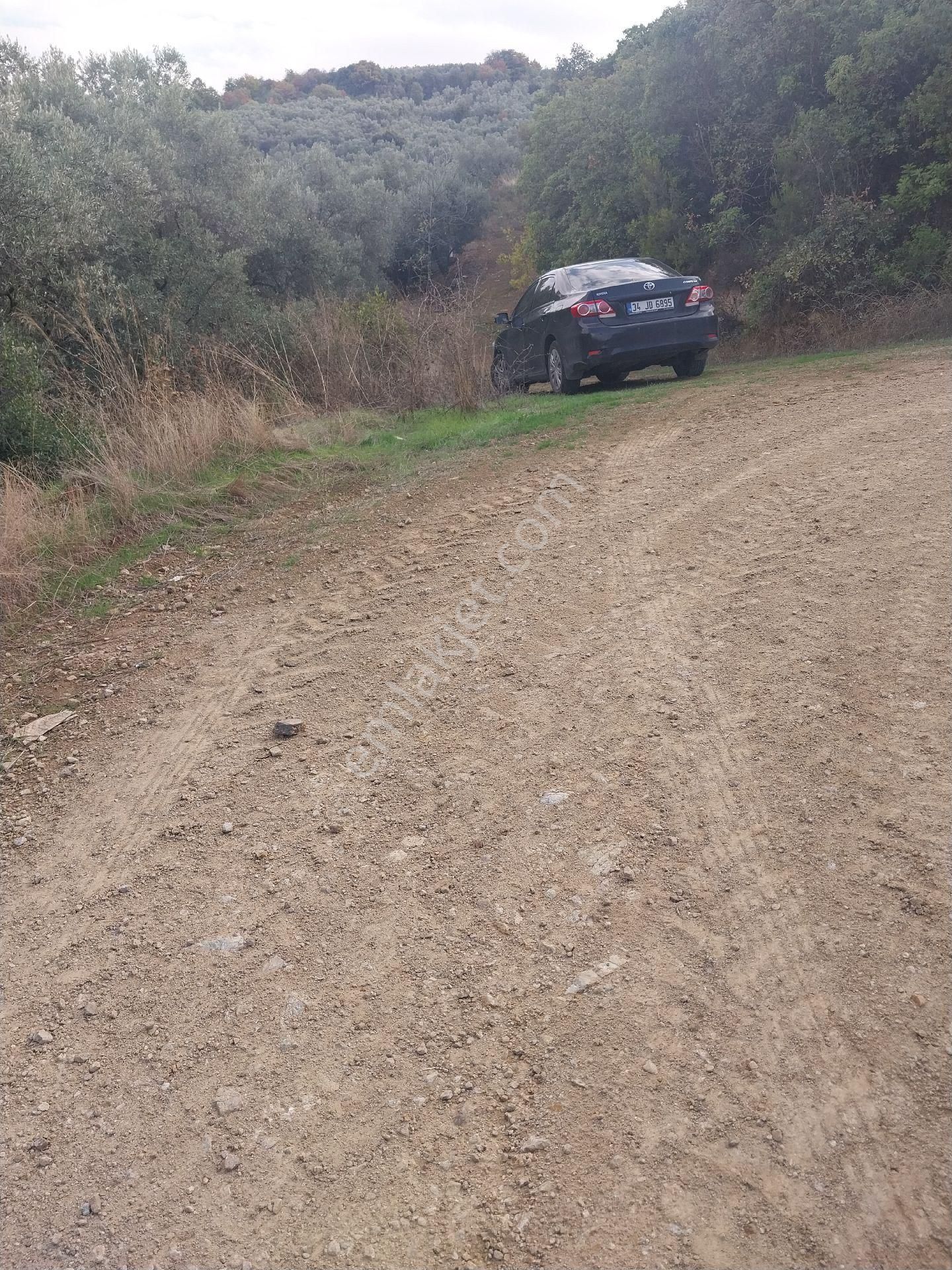 Sahibinden Satılık İznik Aydınlarda Ssahile400 Mt Arazimizde Yaşam Konteyneri Hazır Resmi Yollu - Görsel 5