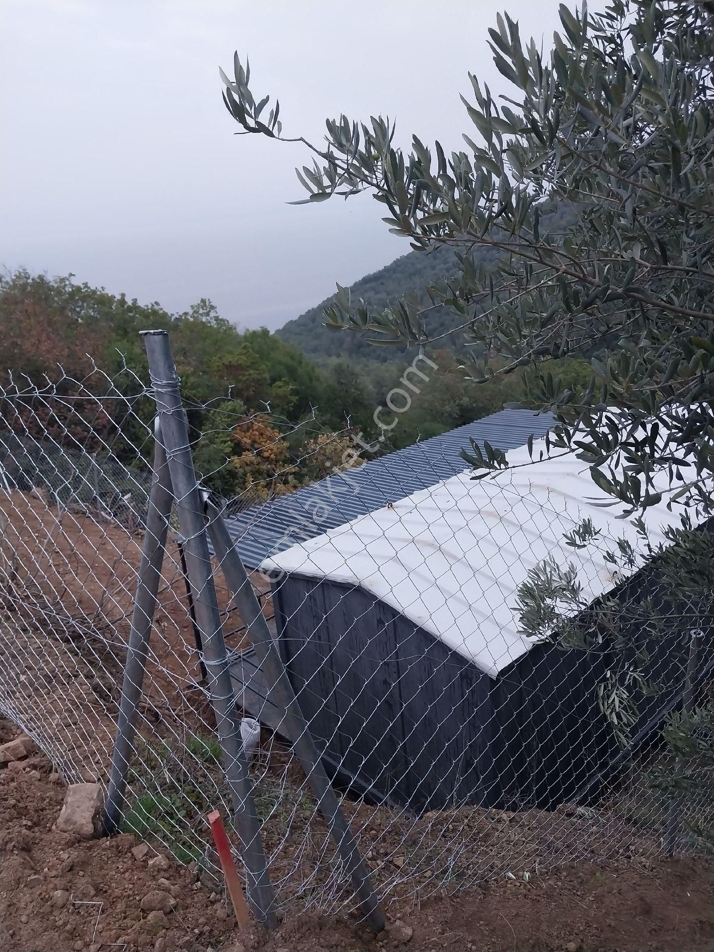 Sahibinden Satılık İznik Aydınlarda Ssahile400 Mt Arazimizde Yaşam Konteyneri Hazır Resmi Yollu - Görsel 12