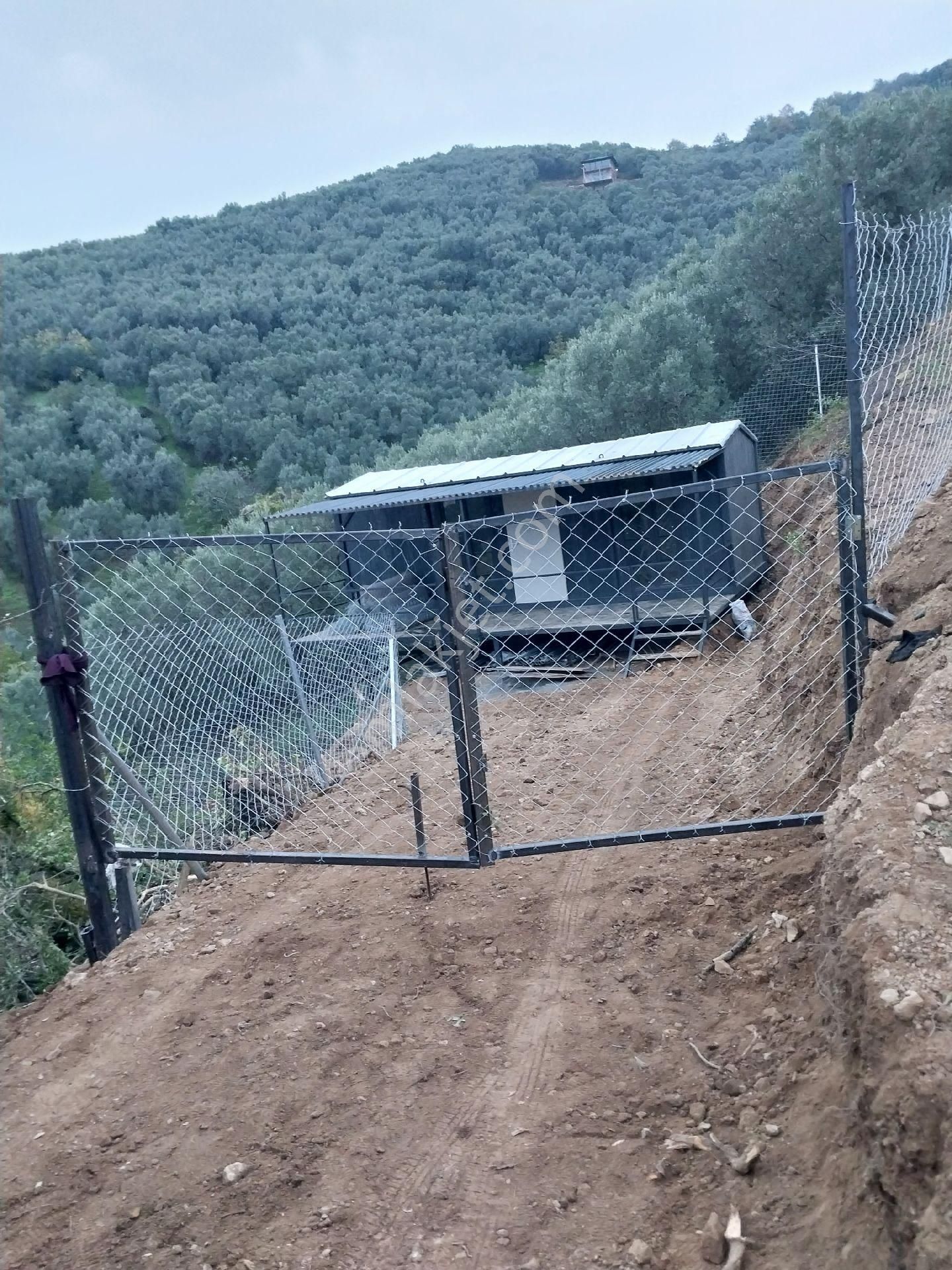 Sahibinden Satılık İznik Aydınlarda Ssahile400 Mt Arazimizde Yaşam Konteyneri Hazır Resmi Yollu - Görsel 15