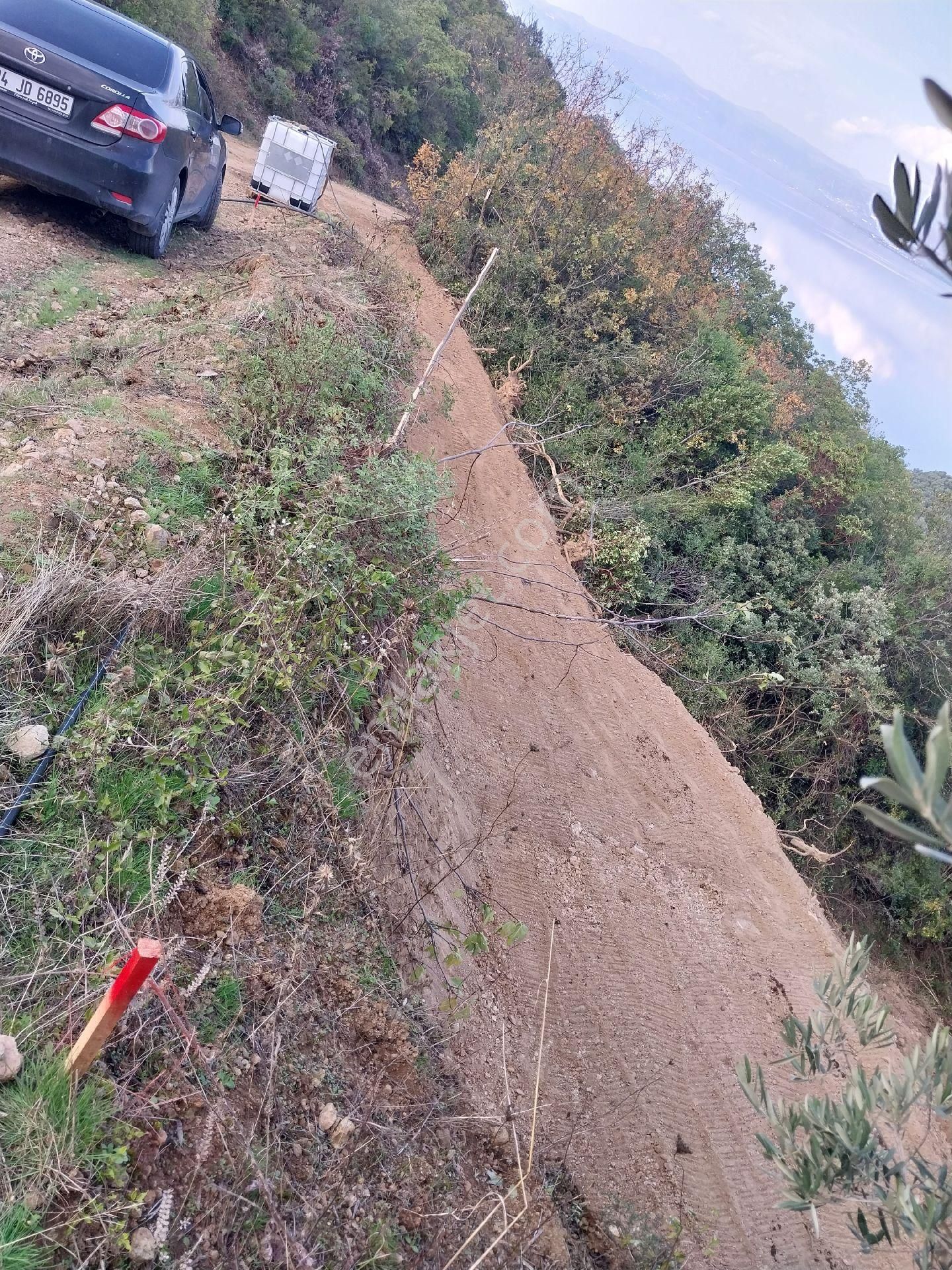 Sahibinden Satılık İznik Aydınlarda Ssahile400 Mt Arazimizde Yaşam Konteyneri Hazır Resmi Yollu - Görsel 22