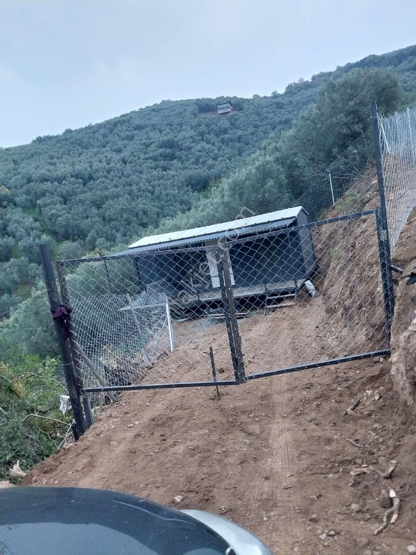 Sahibinden Satılık İznik Aydınlarda Ssahile400 Mt Arazimizde Yaşam Konteyneri Hazır Resmi Yollu - Görsel 16