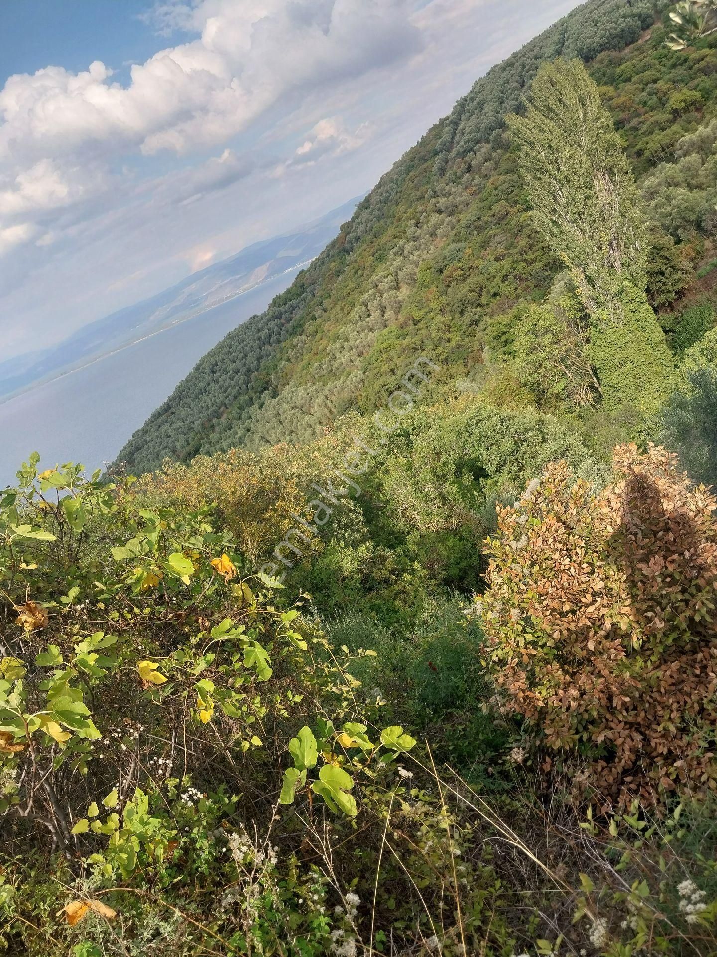 Sahibinden Satılık İznik Aydınlarda Ssahile400 Mt Arazimizde Yaşam Konteyneri Hazır Resmi Yollu - Görsel 6