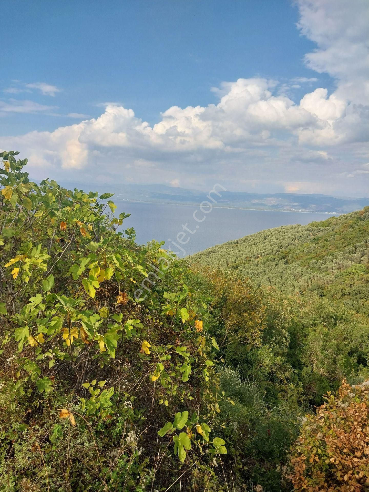 Sahibinden Satılık İznik Aydınlarda Ssahile400 Mt Arazimizde Yaşam Konteyneri Hazır Resmi Yollu