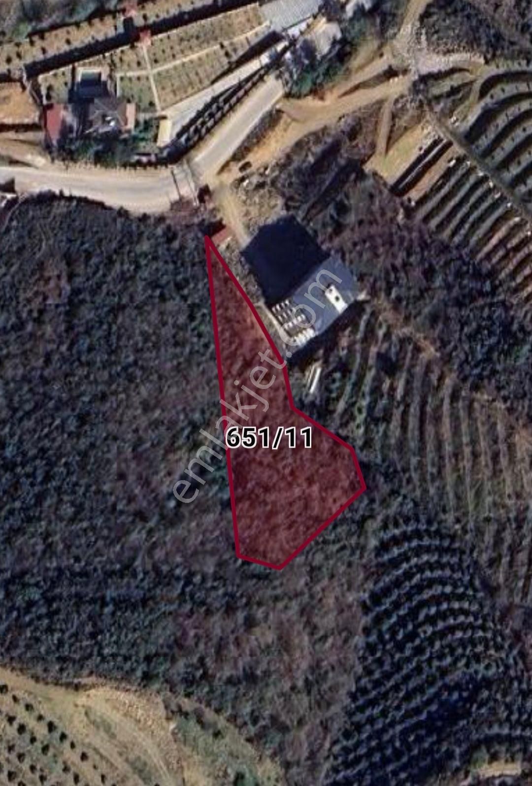 3 Parsel 6425 M2 Depo Ve Bahçe Y - Görsel 2