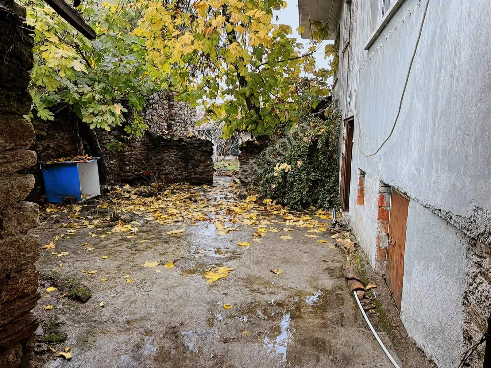 Müstakil Bahçeli Ev Ve İş Yeri - Görsel 4