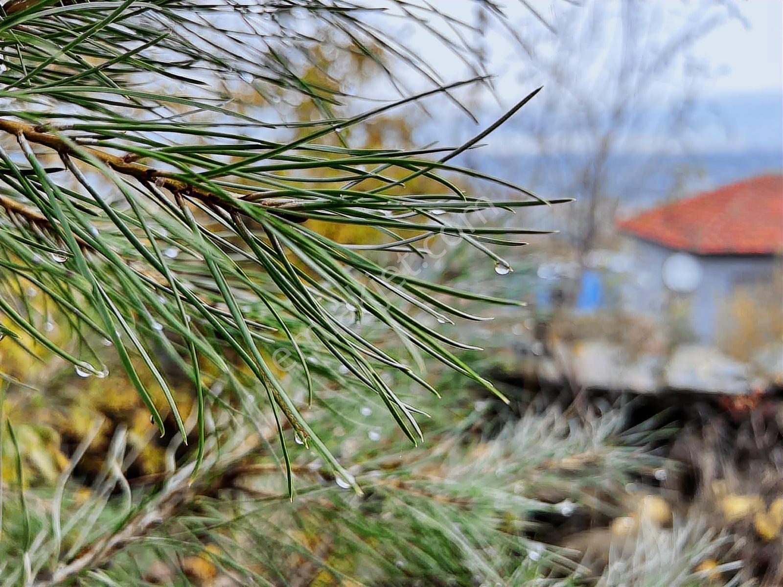 Müstakil Bahçeli Ev Ve İş Yeri - Görsel 20