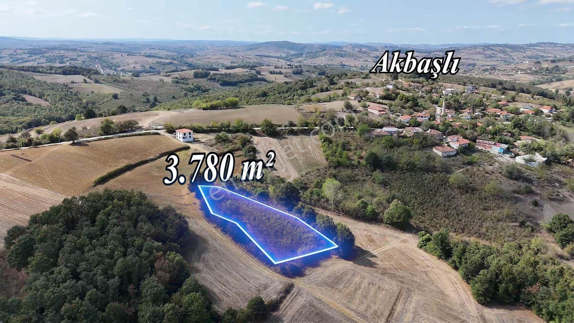 Remax Mavi Kaynarca Eğrioğlu 3780m2 Yatırımlık Fındık Bahçesi - Görsel 18