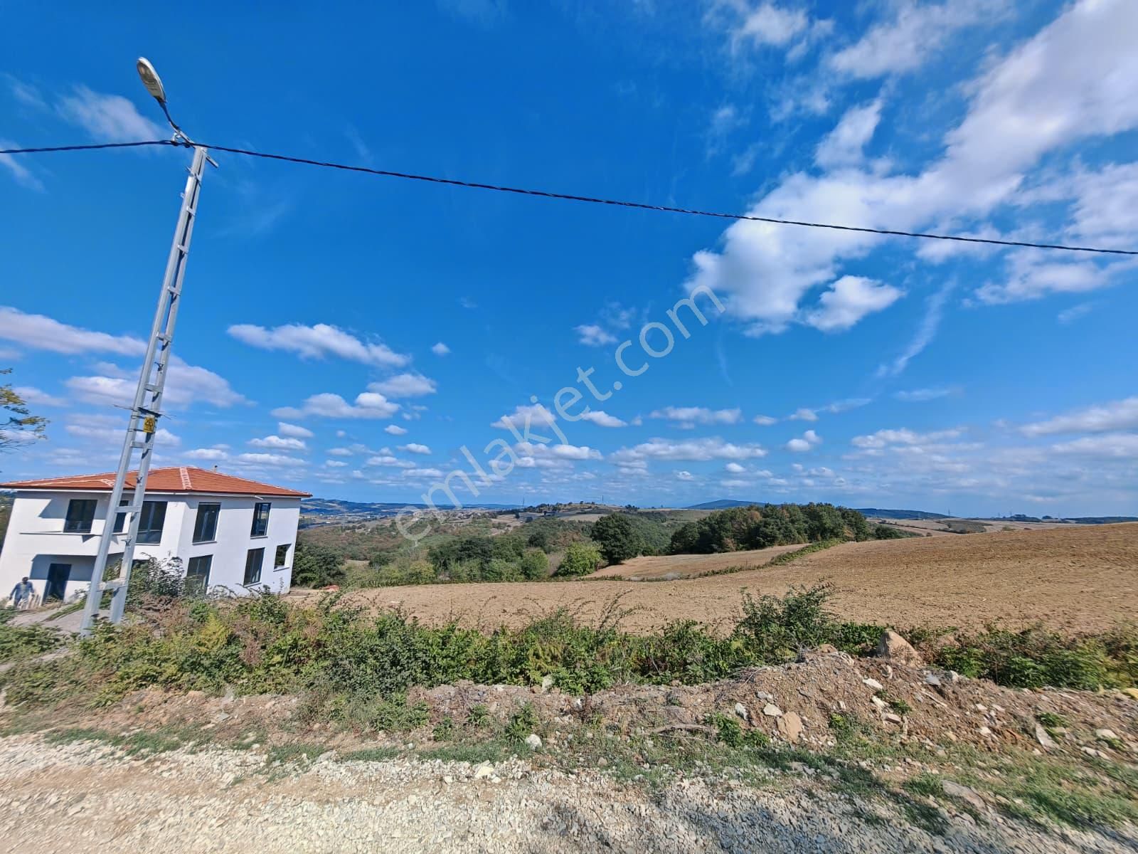 Remax Mavi Kaynarca Eğrioğlu 3780m2 Yatırımlık Fındık Bahçesi - Görsel 3