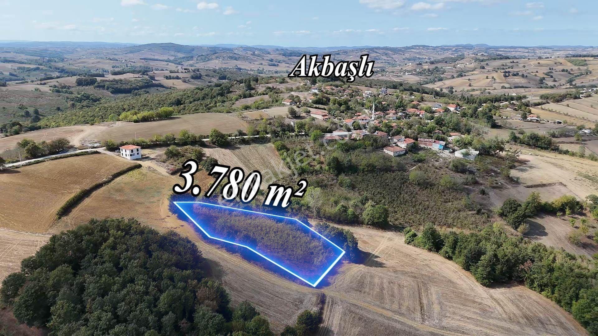 Remax Mavi Kaynarca Eğrioğlu 3780m2 Yatırımlık Fındık Bahçesi - Görsel 15