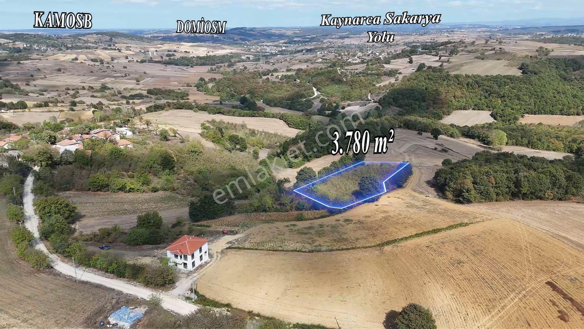 Remax Mavi Kaynarca Eğrioğlu 3780m2 Yatırımlık Fındık Bahçesi - Görsel 20