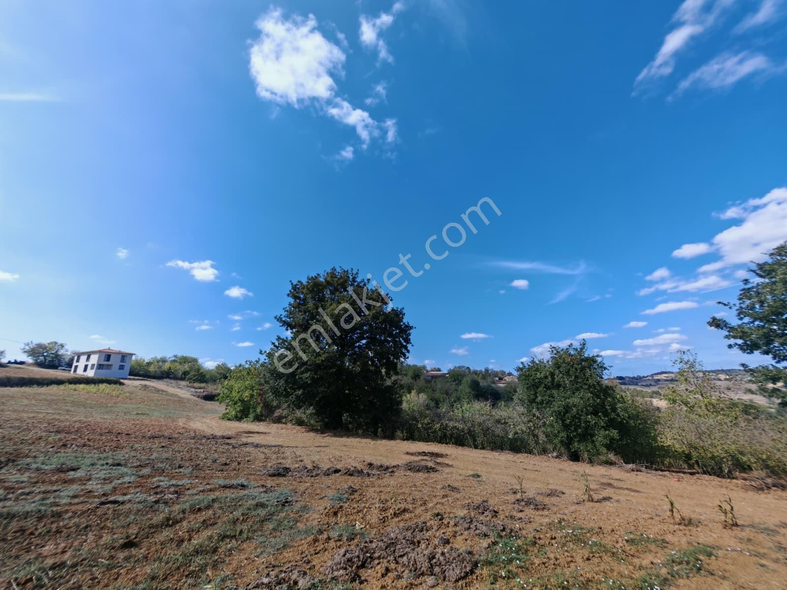 Remax Mavi Kaynarca Eğrioğlu 3780m2 Yatırımlık Fındık Bahçesi - Görsel 6