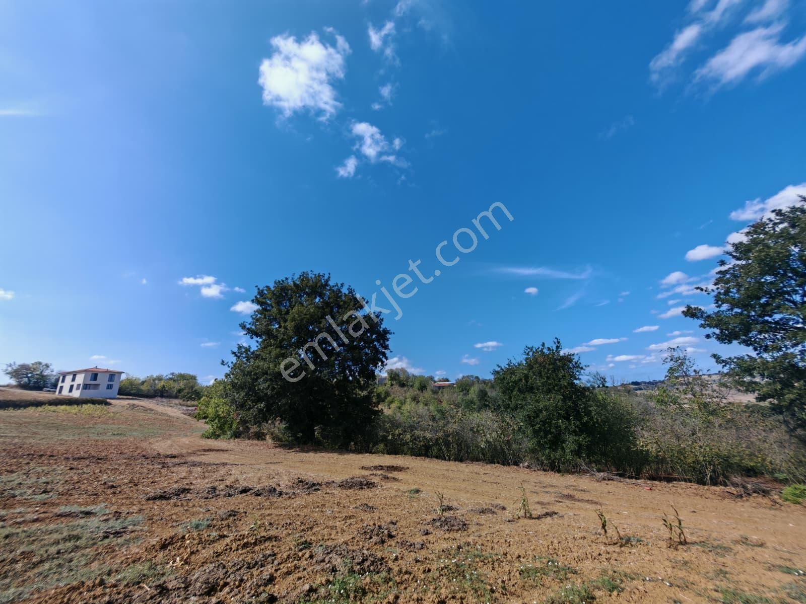 Remax Mavi Kaynarca Eğrioğlu 3780m2 Yatırımlık Fındık Bahçesi - Görsel 7
