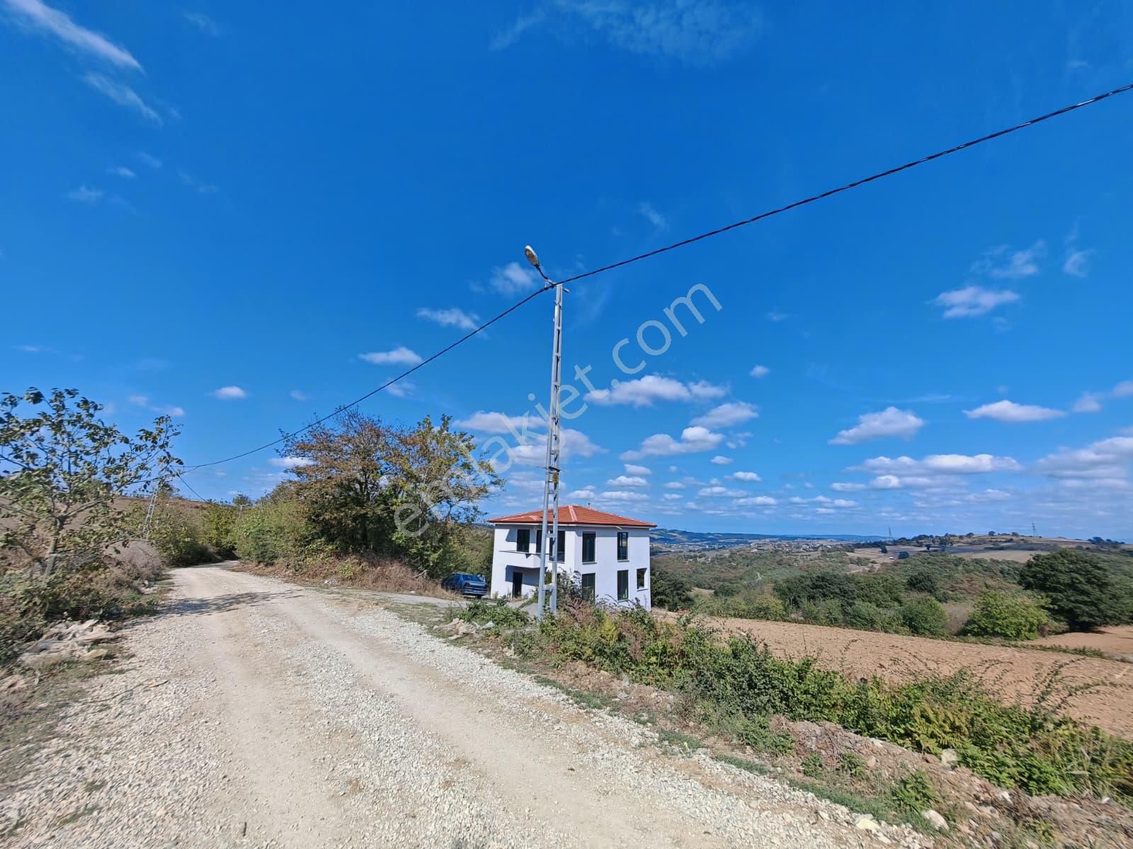 Remax Mavi Kaynarca Eğrioğlu 3780m2 Yatırımlık Fındık Bahçesi - Görsel 9