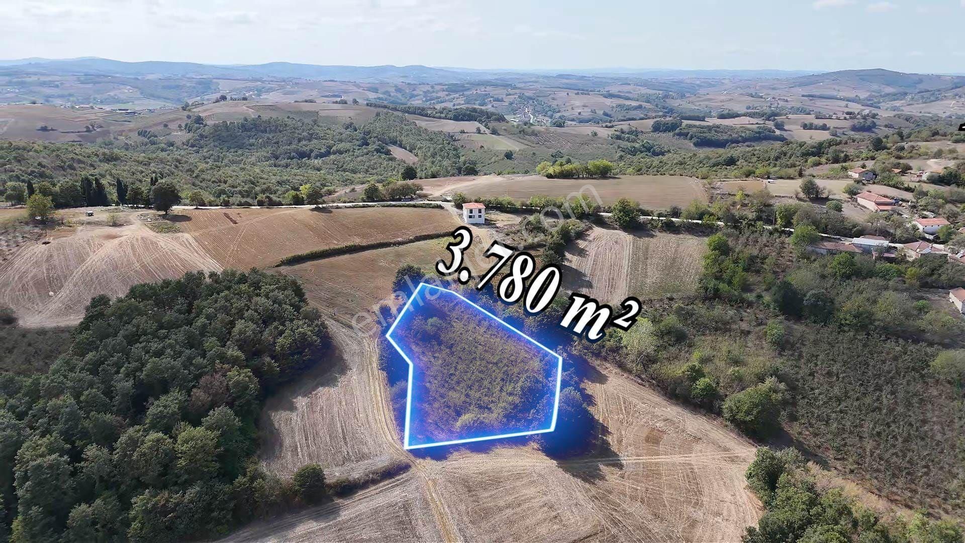 Remax Mavi Kaynarca Eğrioğlu 3780m2 Yatırımlık Fındık Bahçesi - Görsel 19