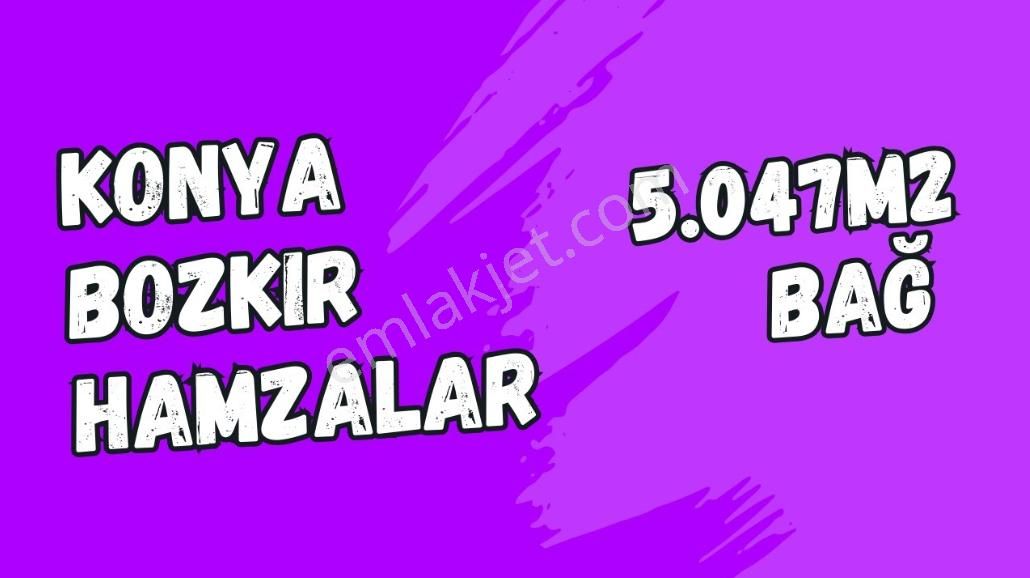 Konya Bozkır Hamzalar Köyünde 5.047 M2 Bağ Satılıktır. - Görsel 15