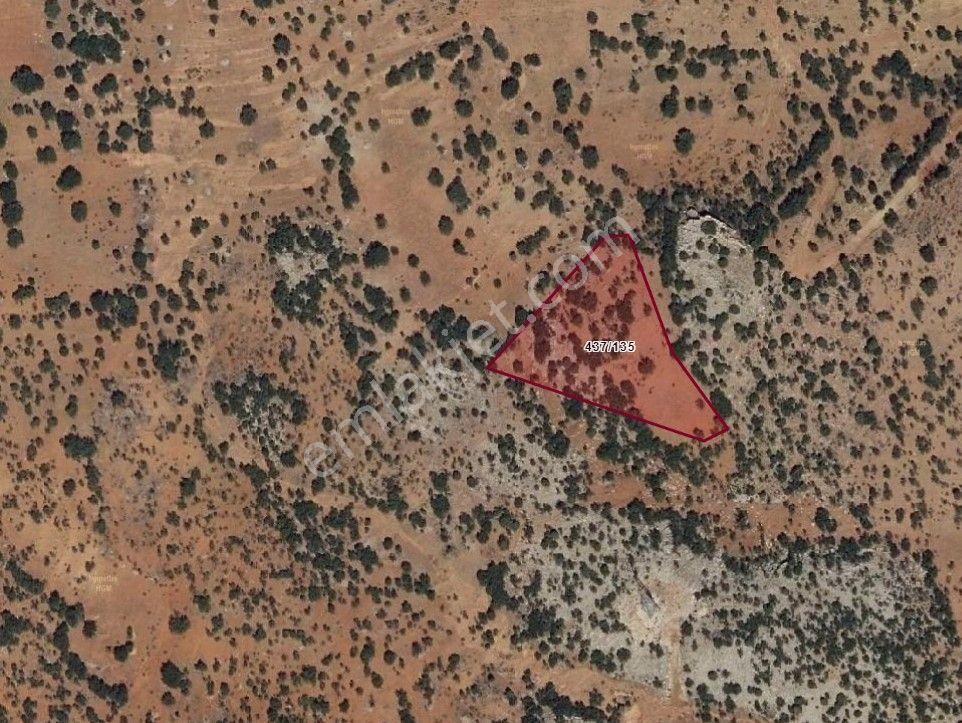 Konya Bozkır Hamzalar Köyünde 5.047 M2 Bağ Satılıktır. - Görsel 22