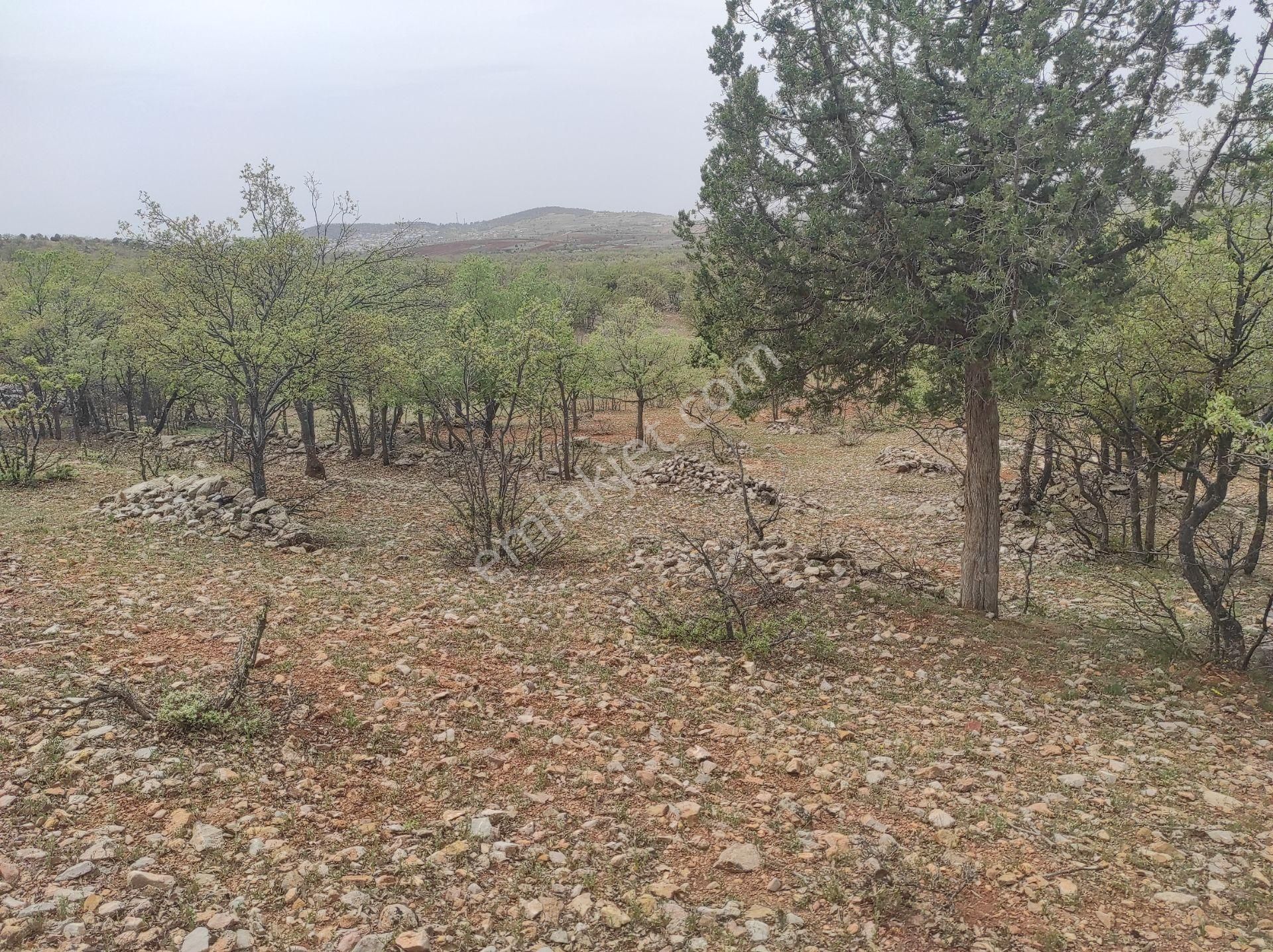 Konya Bozkır Hamzalar Köyünde 5.047 M2 Bağ Satılıktır. - Görsel 9