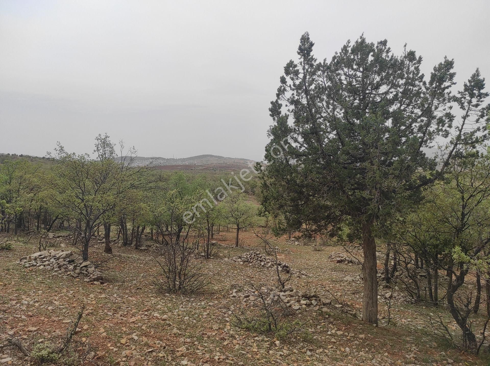 Konya Bozkır Hamzalar Köyünde 5.047 M2 Bağ Satılıktır. - Görsel 5