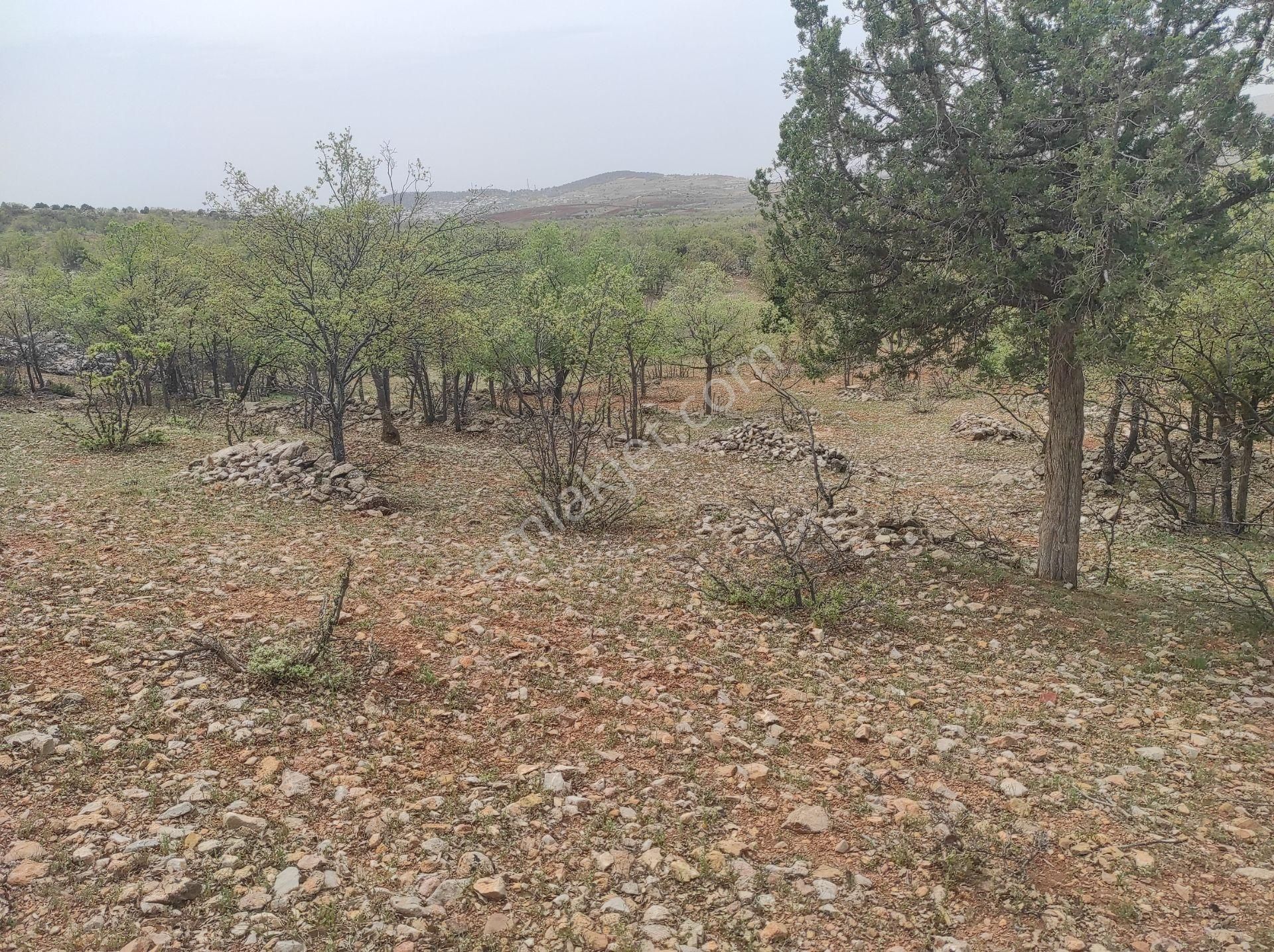 Konya Bozkır Hamzalar Köyünde 5.047 M2 Bağ Satılıktır. - Görsel 20
