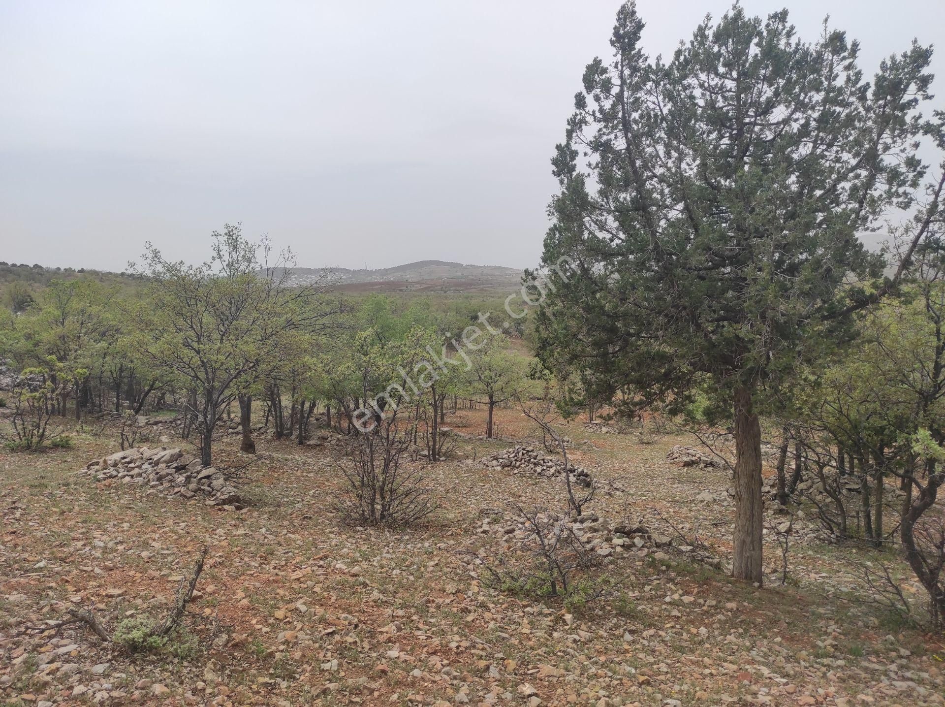 Konya Bozkır Hamzalar Köyünde 5.047 M2 Bağ Satılıktır.