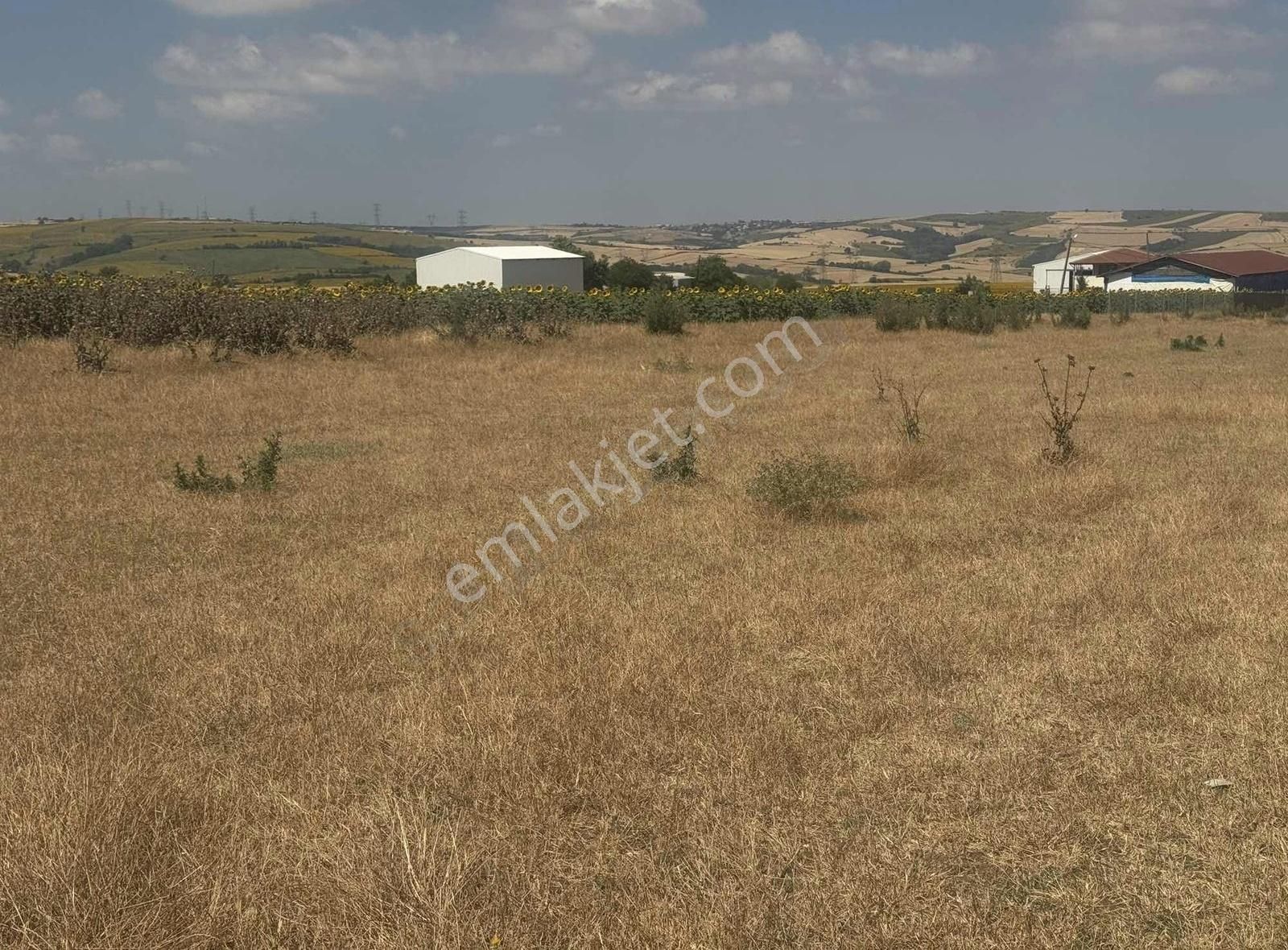 Tema Emlaktan Tekirdağ Yağcı Mah Satılık Arsa - Görsel 9