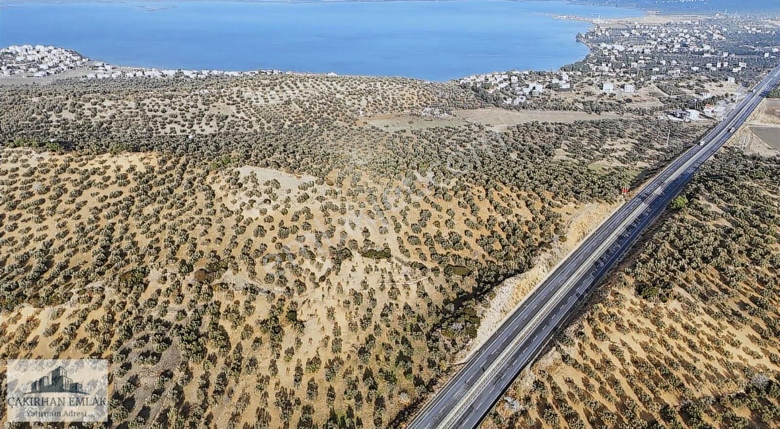 Şakran Merkezde Denize Ve Göle Yakın Satılık Zeytinlik - Görsel 5