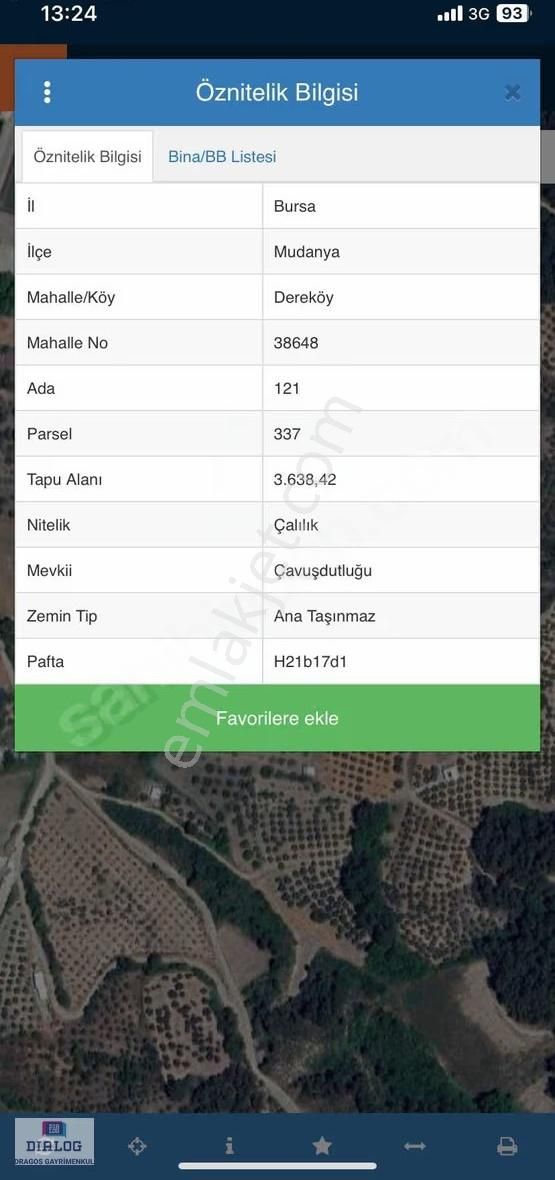 Bursa-mudanya- Dere Köy'de 3638m2 Yetişkin Zeytinlik Satılık