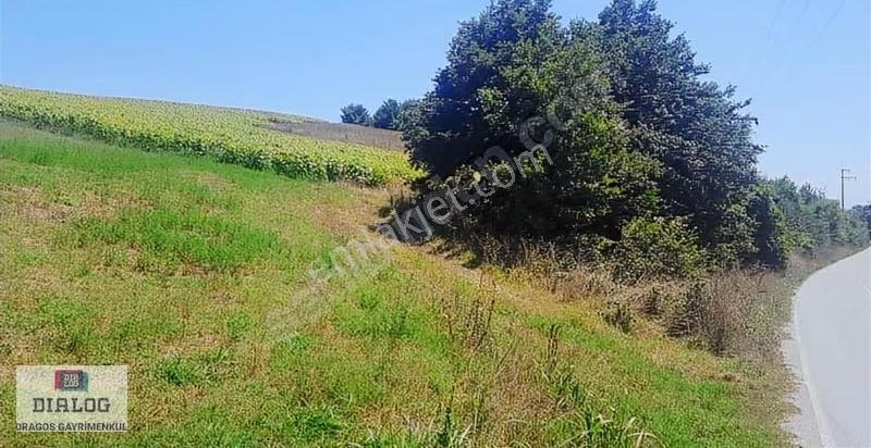 Söğütlü, Sıraköy'de 30148 M2 Fırsat Yatırımlık Satılık Arazi - Görsel 6