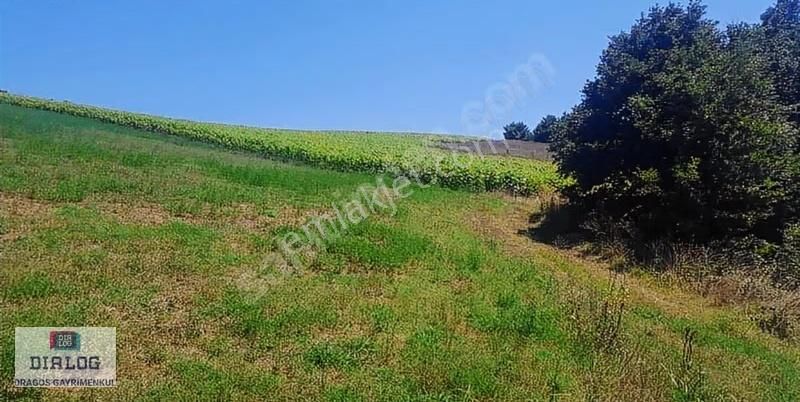 Söğütlü, Sıraköy'de 30148 M2 Fırsat Yatırımlık Satılık Arazi - Görsel 2