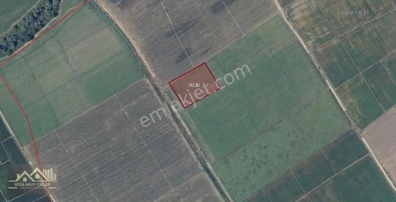 Çanakkale Biga Savaştepe Köyü Yola 50m Cepheli Yatırımlık Tarla