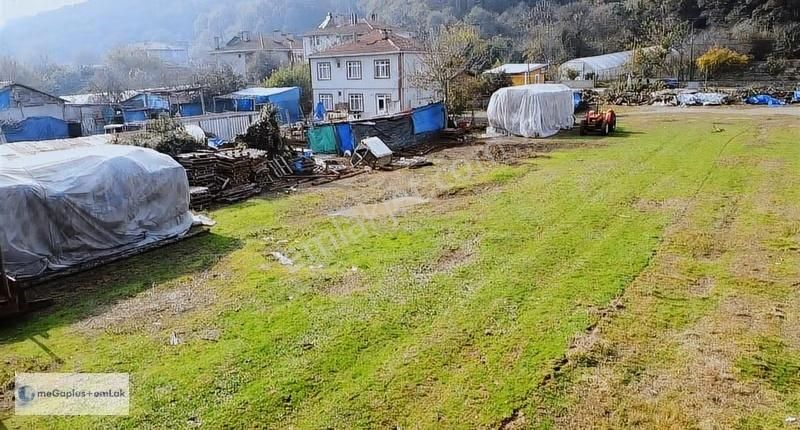 Şile Megaplus Emlaktan Karamandereköyünde 350m2 0.35 İmarlı Arsa - Görsel 17