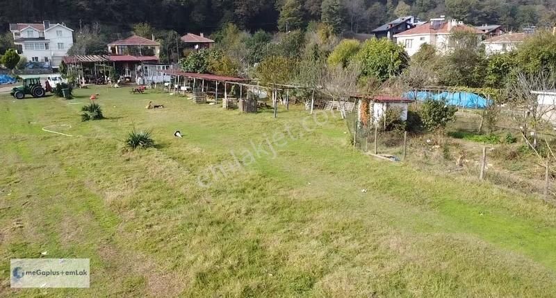 Şile Megaplus Emlaktan Karamandereköyünde 350m2 0.35 İmarlı Arsa - Görsel 14