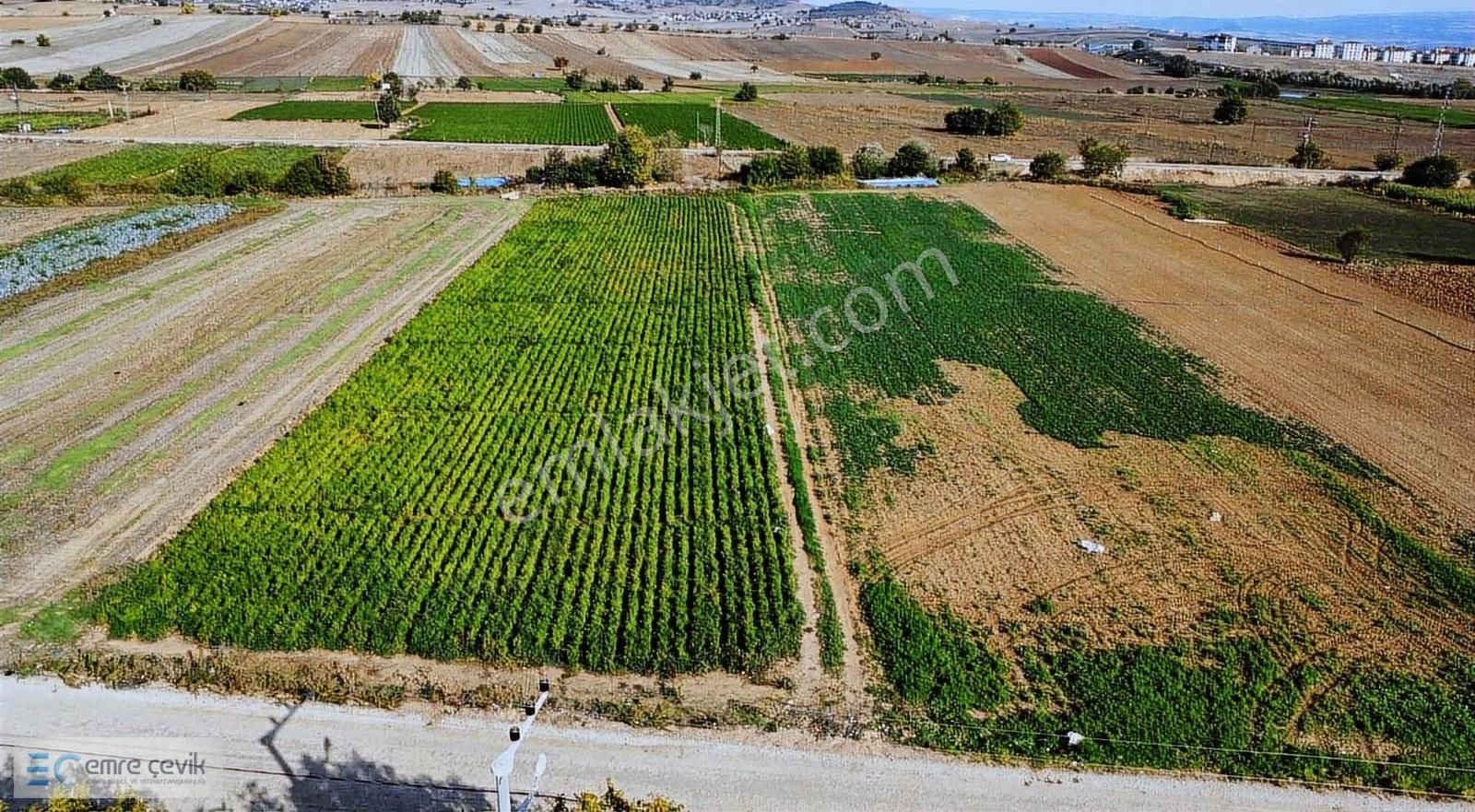 Emre Çevik'den Yenişehir Cihadiye Asfalt Yola Cephe 6400m2 Tarla - Görsel 21