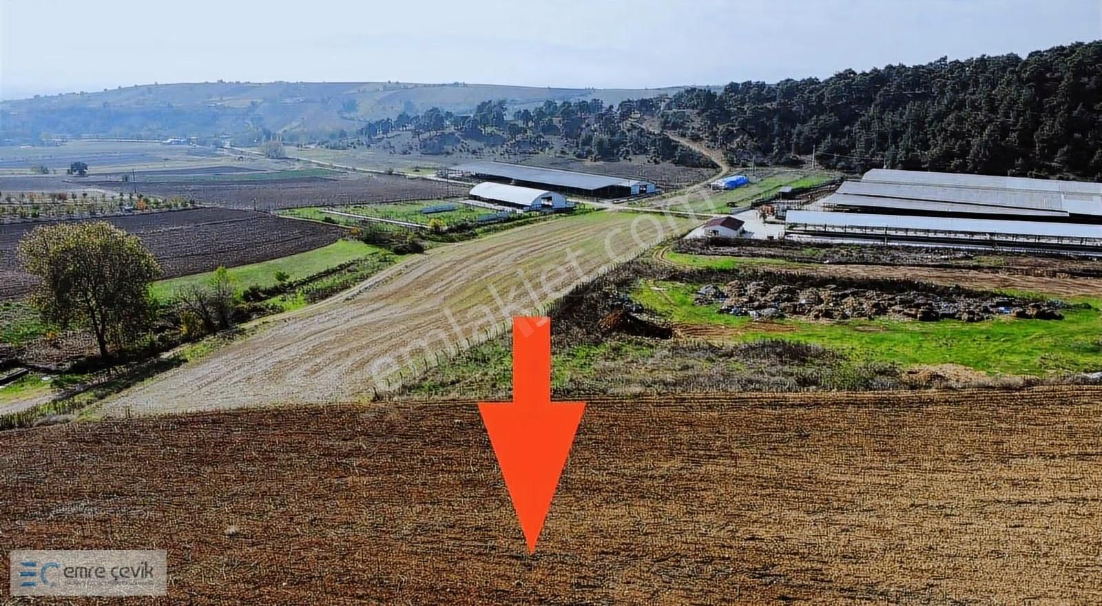 Emre Çevik'den Yenişehir Kozdere Çamlık Altı 9550m2 Tarla - Görsel 2