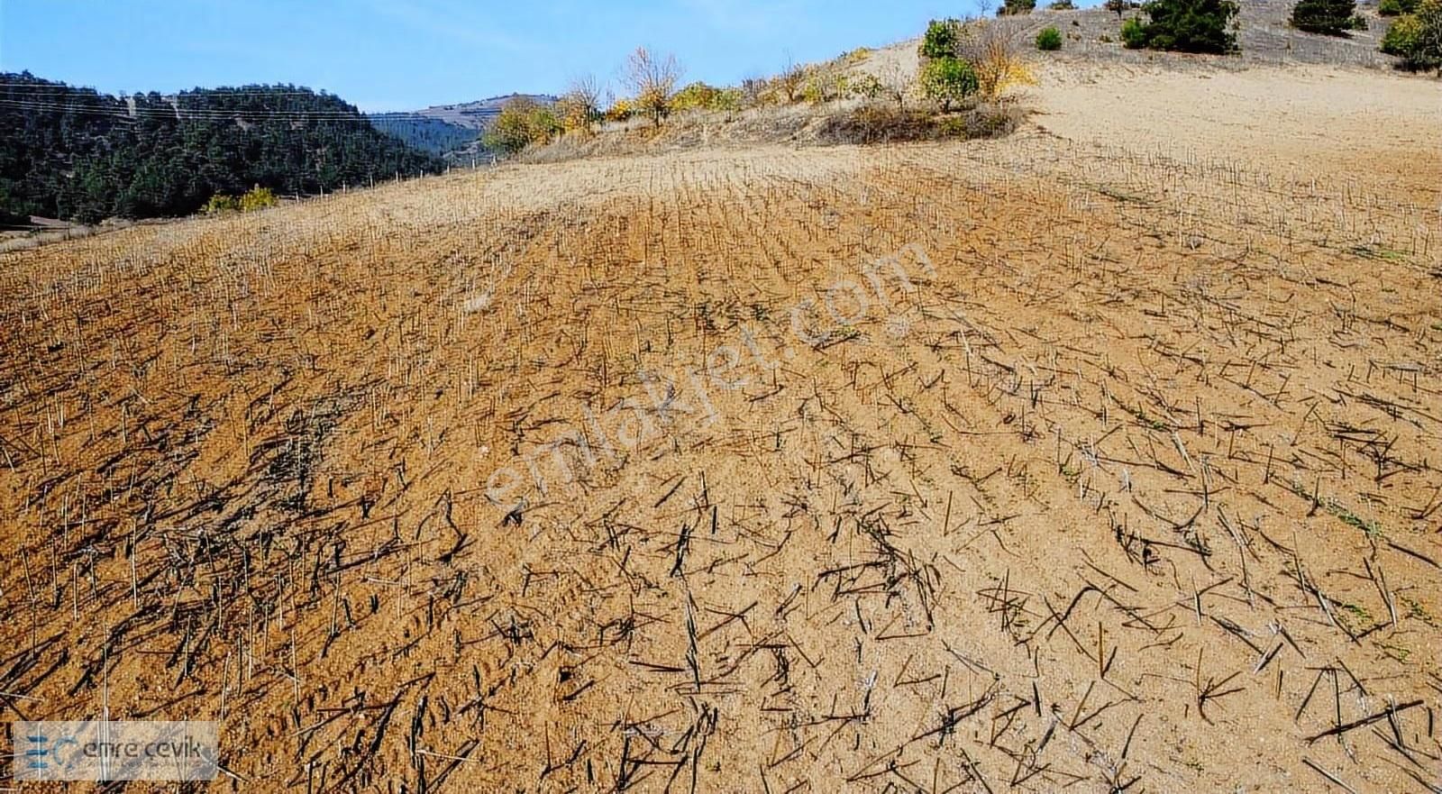 Emre Çevik'den Yenişehir Kozdere Çamlık Altı 9550m2 Tarla - Görsel 5