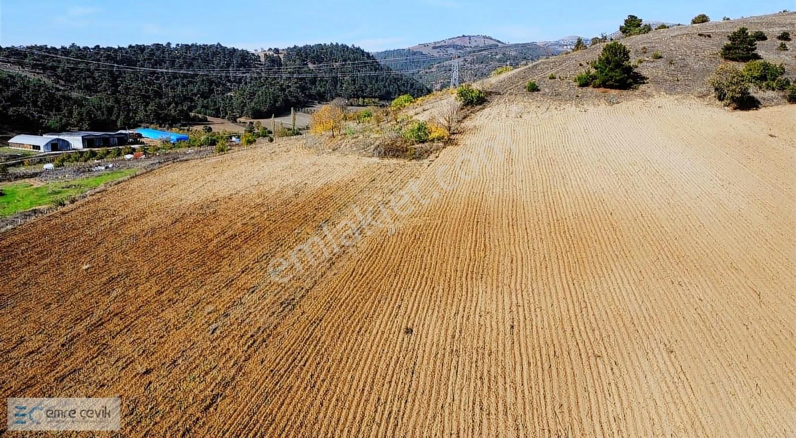 Emre Çevik'den Yenişehir Kozdere Çamlık Altı 9550m2 Tarla - Görsel 7