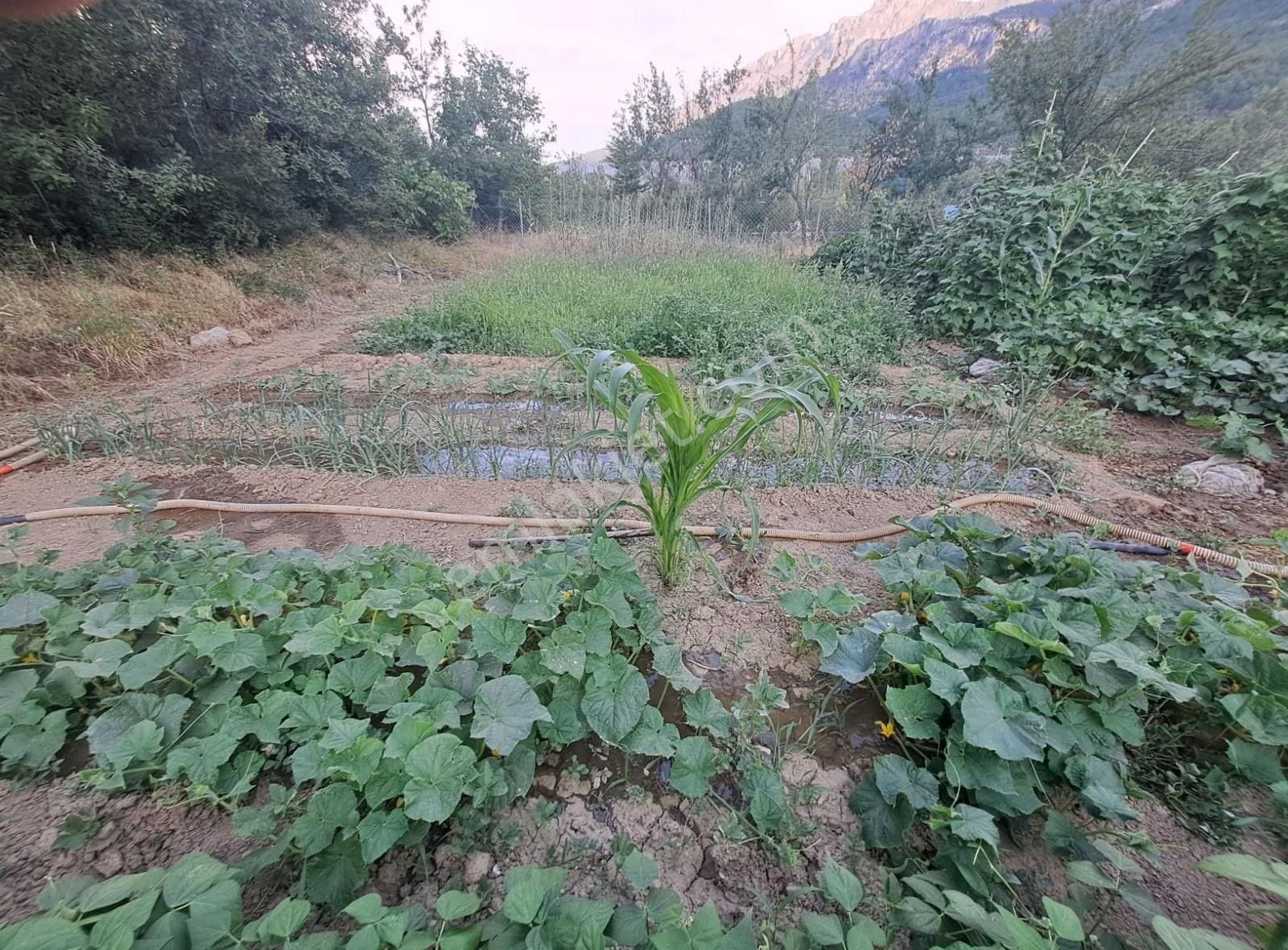 Konya Seydişehir Taraşcı Da Tek Tapu Bahçe Ve 2 Adet 1+1 Var - Görsel 27