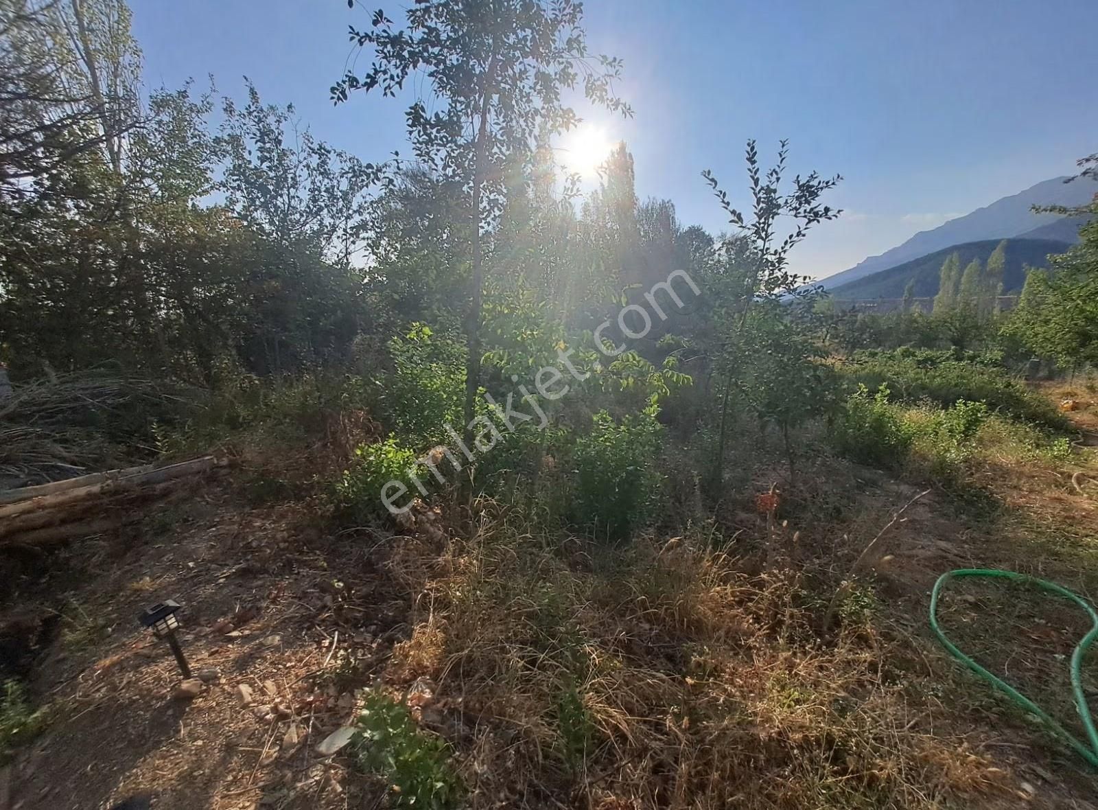 Konya Seydişehir Taraşcı Da Tek Tapu Bahçe Ve 2 Adet 1+1 Var - Görsel 31