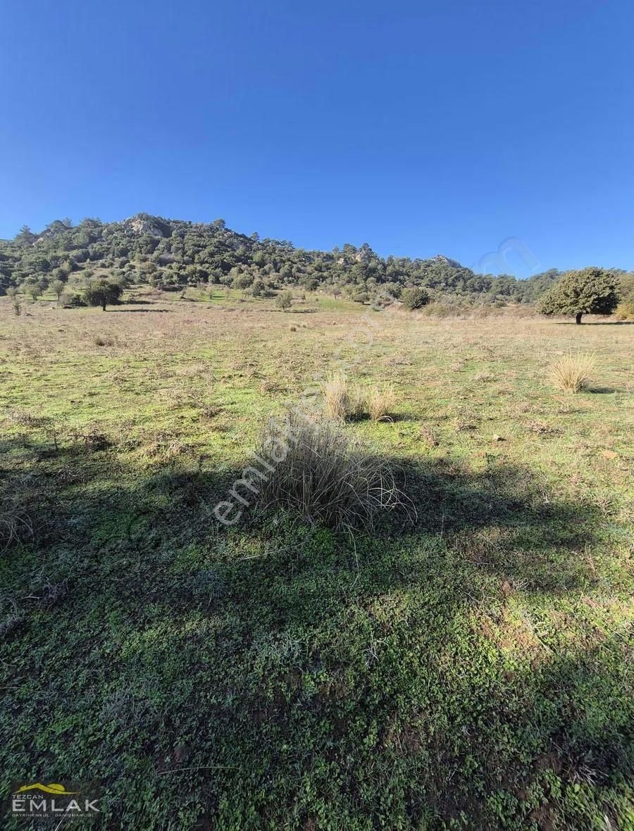 Çanakkale Geyikli Yolu Hisaralan Köyünde Satılık Tarla - Görsel 10