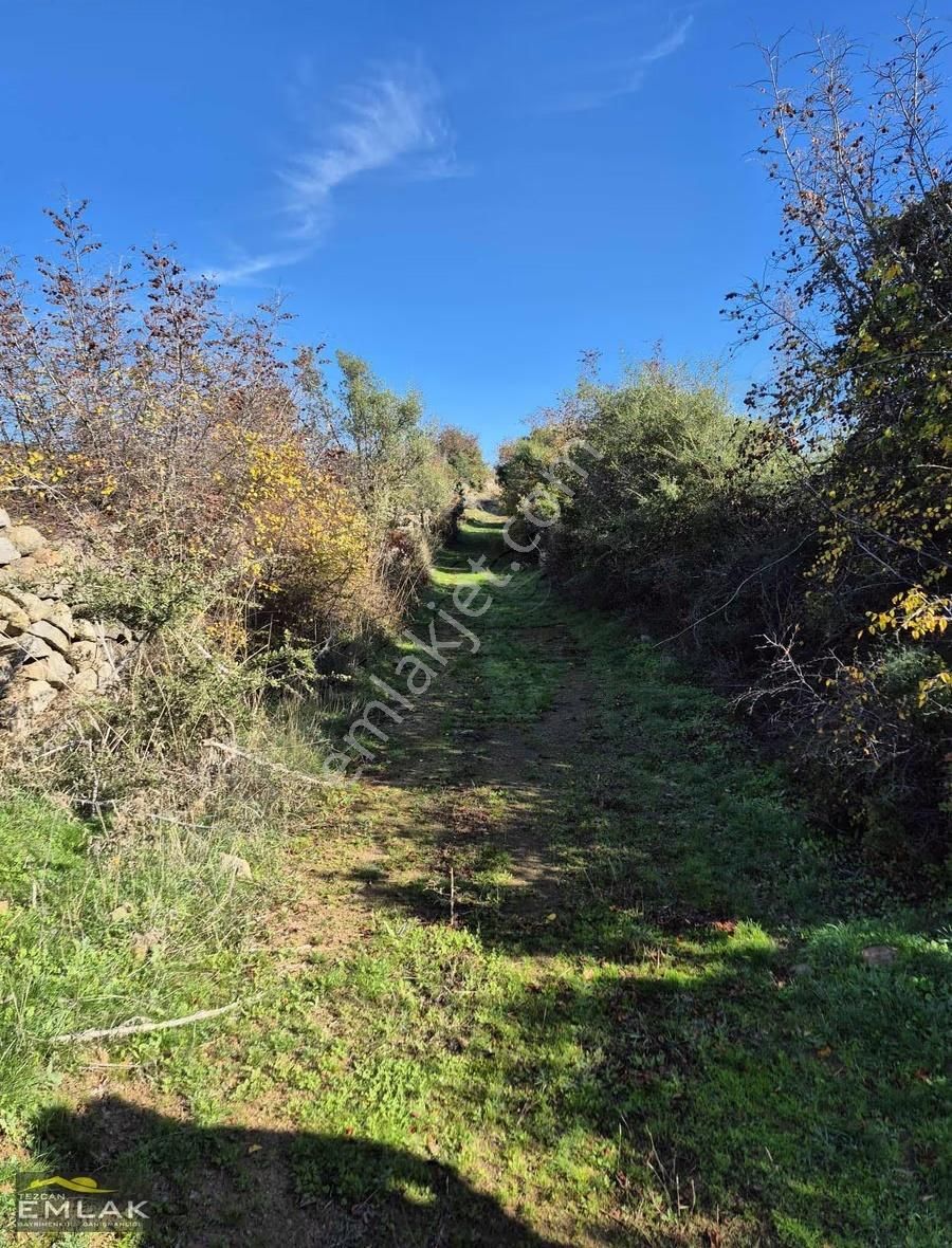 Çanakkale Geyikli Yolu Hisaralan Köyünde Satılık Tarla - Görsel 7